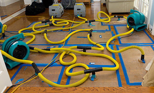 Professional Structural Drying And Dehumidification technician working in Dayton, MN